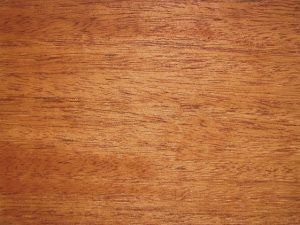 caoba cubana