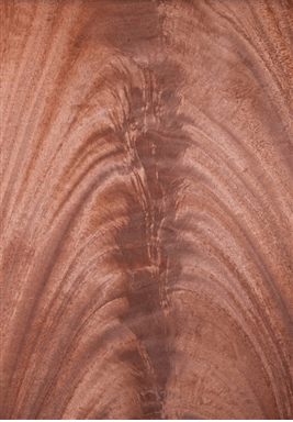 palma de caoba