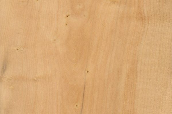 Madera de boj