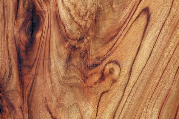 madera de Alcanfor